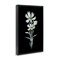 Stupell Industries Tall Floral Stems Framed Floater Canvas Wall Art Design by Leeza Hernandez